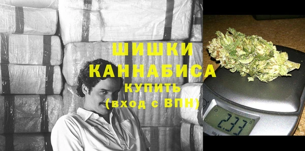 ГАЛЛЮЦИНОГЕННЫЕ ГРИБЫ Абаза