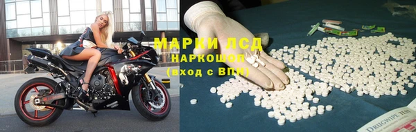 ГАЛЛЮЦИНОГЕННЫЕ ГРИБЫ Абаза